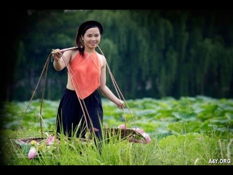 Hotspot Matrix và ôm êm của mẹ_tối ưu hóa video YouTube cho SEO