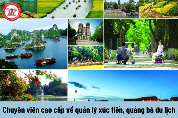 Xu hướng Loài cá kỳ lạ nhất châu Phi:: Hotspot Matrix tiết lộ bí quyết video viral_video hậu trường hấp dẫn